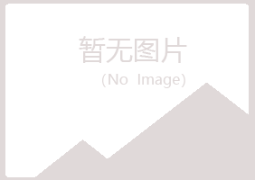 惠阳山柳咨询有限公司